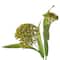 12 Pack: Green Queen Anne's Lace Spray by Ashland®